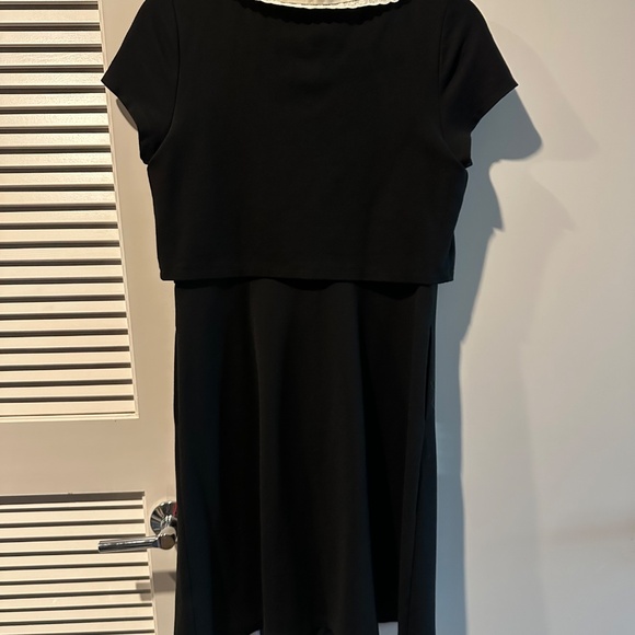 Falling for the Fall Equinox Collared Dress ModCloth Brand New Unworn - Picture 3 of 10